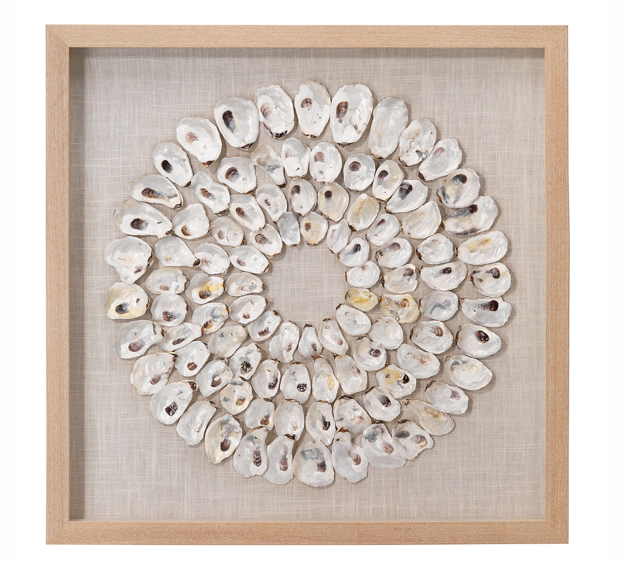 Oyster Shell Shadow Box Wall Art