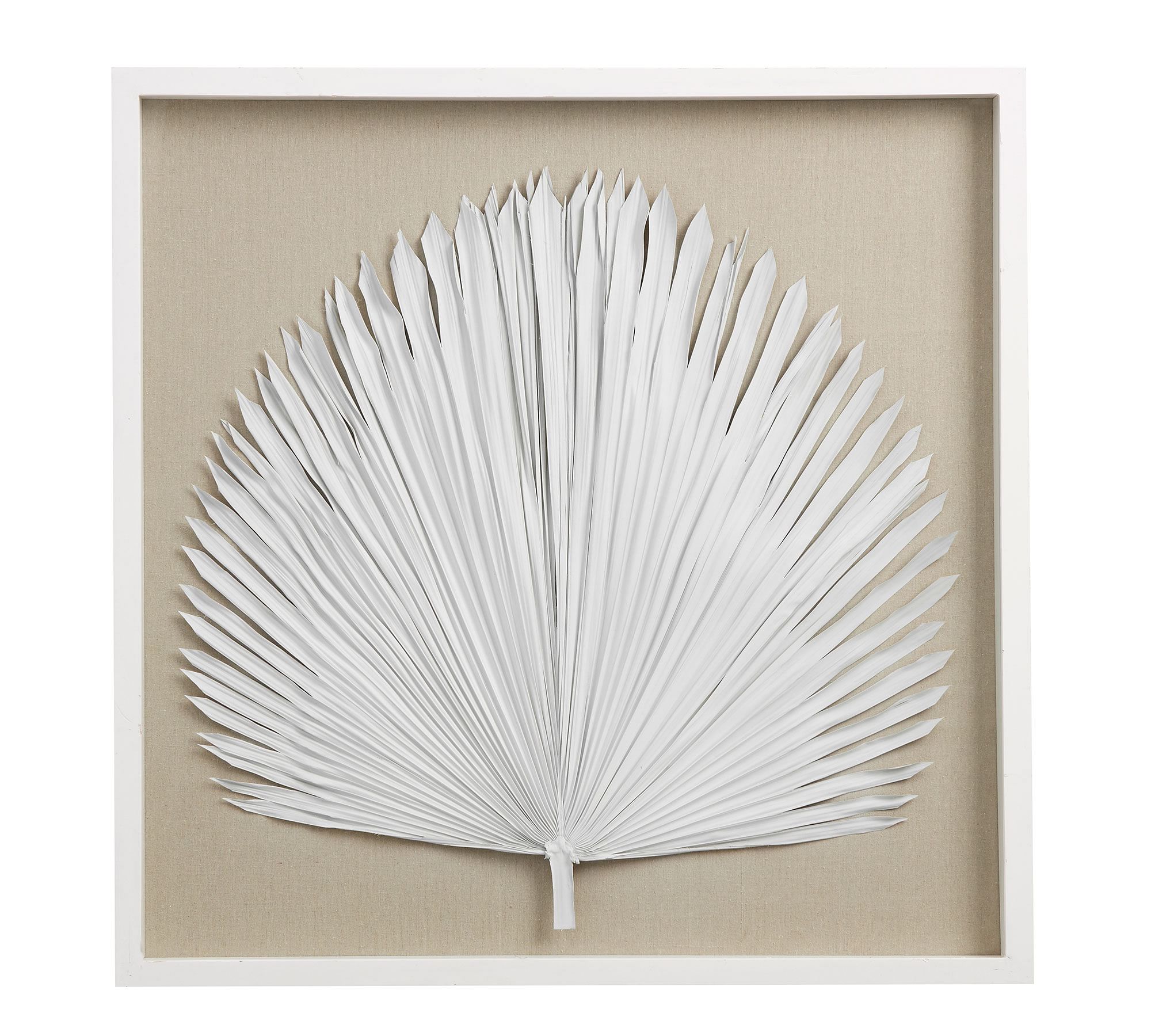 Palm Leaf Shadow Box Wall Art - White