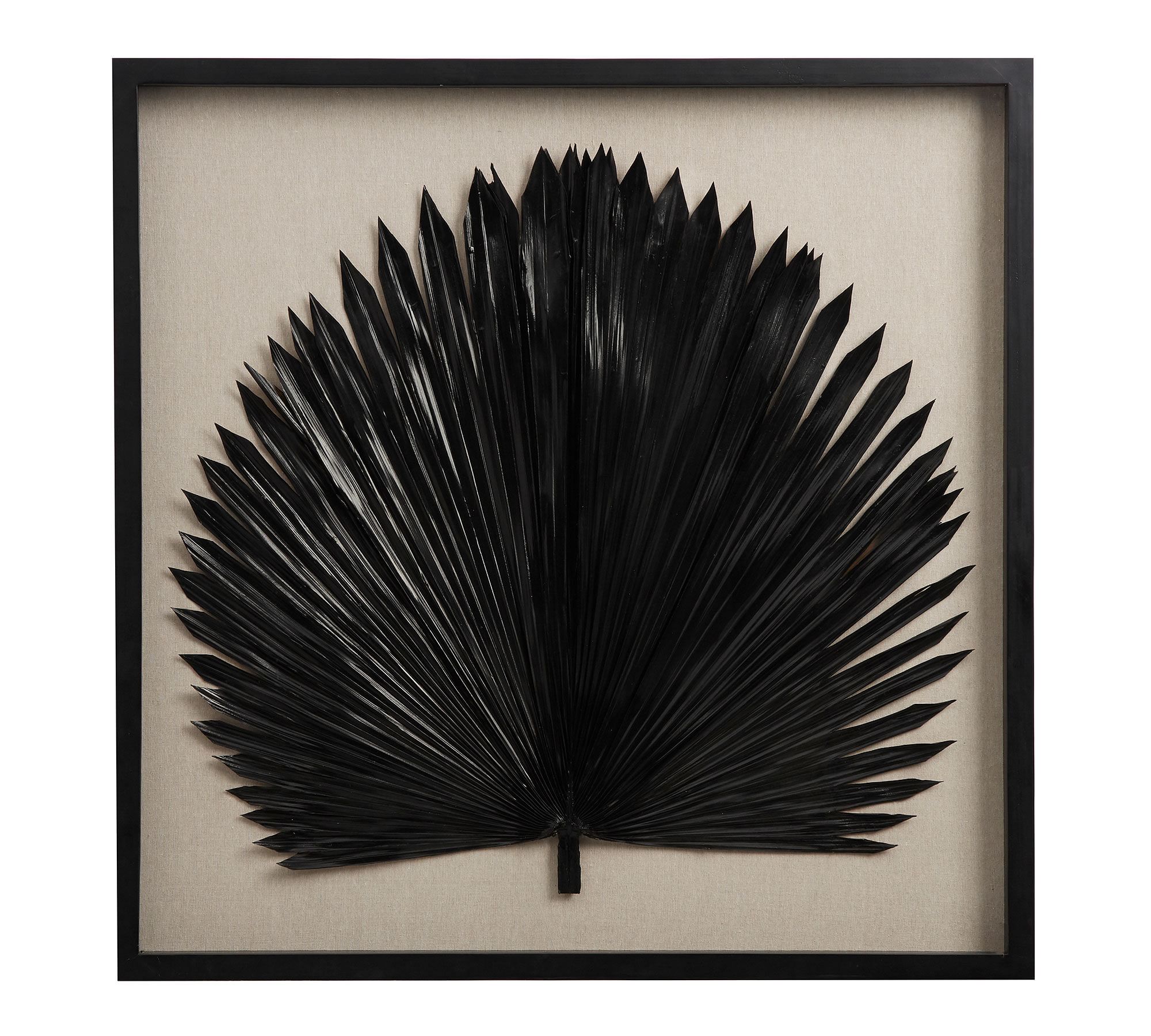 Palm Leaf Shadow Box Wall Art - Black