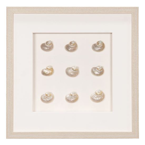 Pearlescent Sea Shell Shadow Box Wall Decor