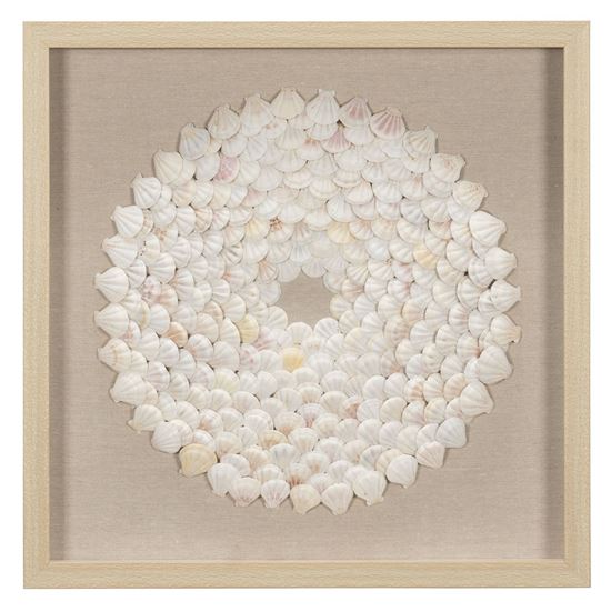 Mini Scallop Shells Shadow Box Wall Décor