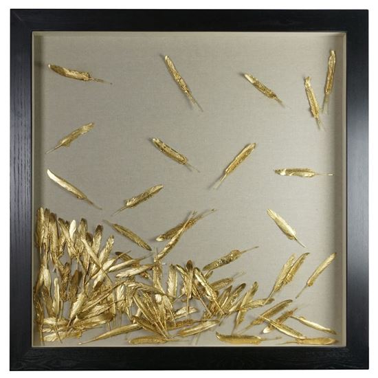 Golden Feathers Shadow Box 31.50